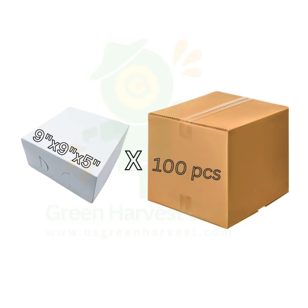 9’’ Plain Cake Box 100 Pcs (1 Case)